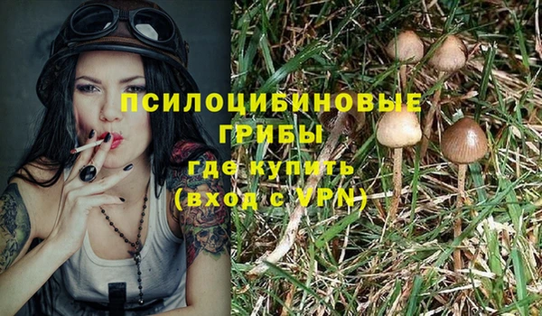 дурь Михайловск